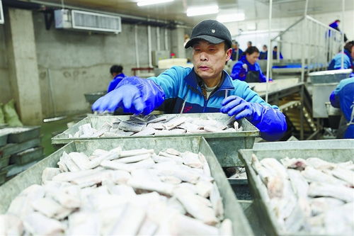 連云港規(guī)上工業(yè)企業(yè)穩(wěn)產(chǎn)增 食品經(jīng)營助力經(jīng)濟社會發(fā)展首季開門紅